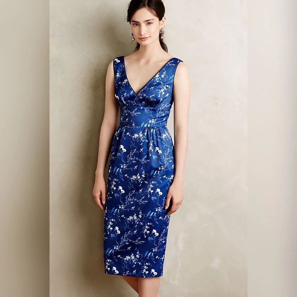 Anthropologie Erin Fetherston Talinay Sheath Dress